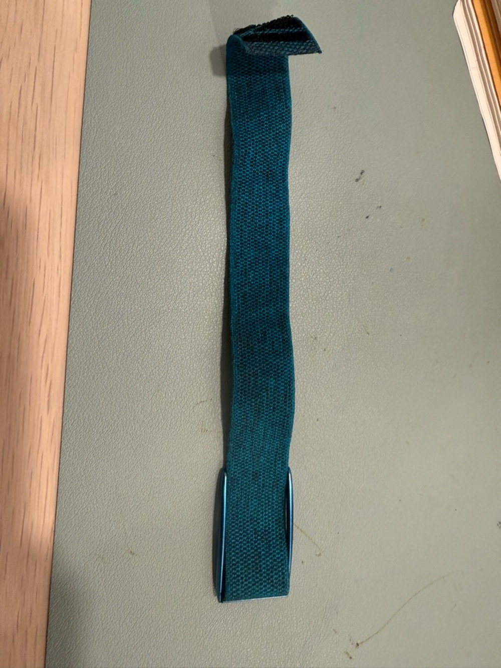 Whoop watch band